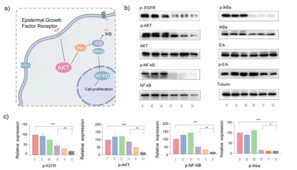 1624238571310039350.jpg 微信图片_20210621091925.jpg