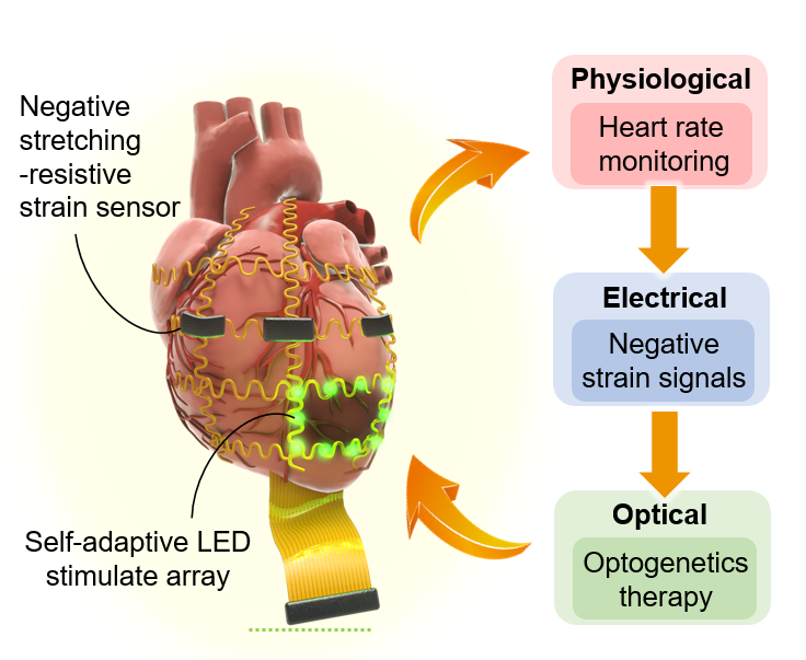 1638770351338089657.png 1.png